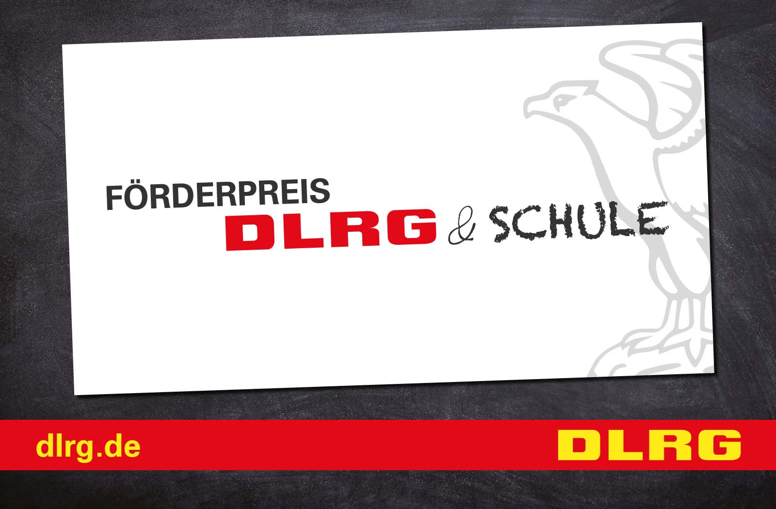 Schwimmen lernen – sicher, stark und mit Spaß am MSMG in Telgte