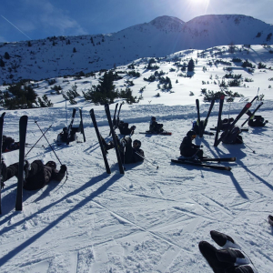 ski2422