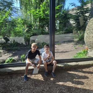 zoodaz1