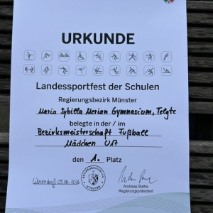 fussball2611