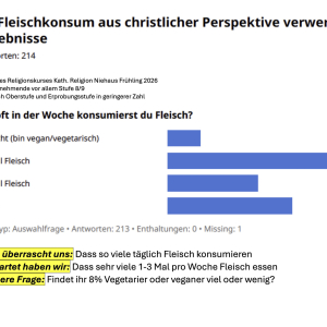 Auswertung_Umfrage_Fleischkonsum_9Reli_1